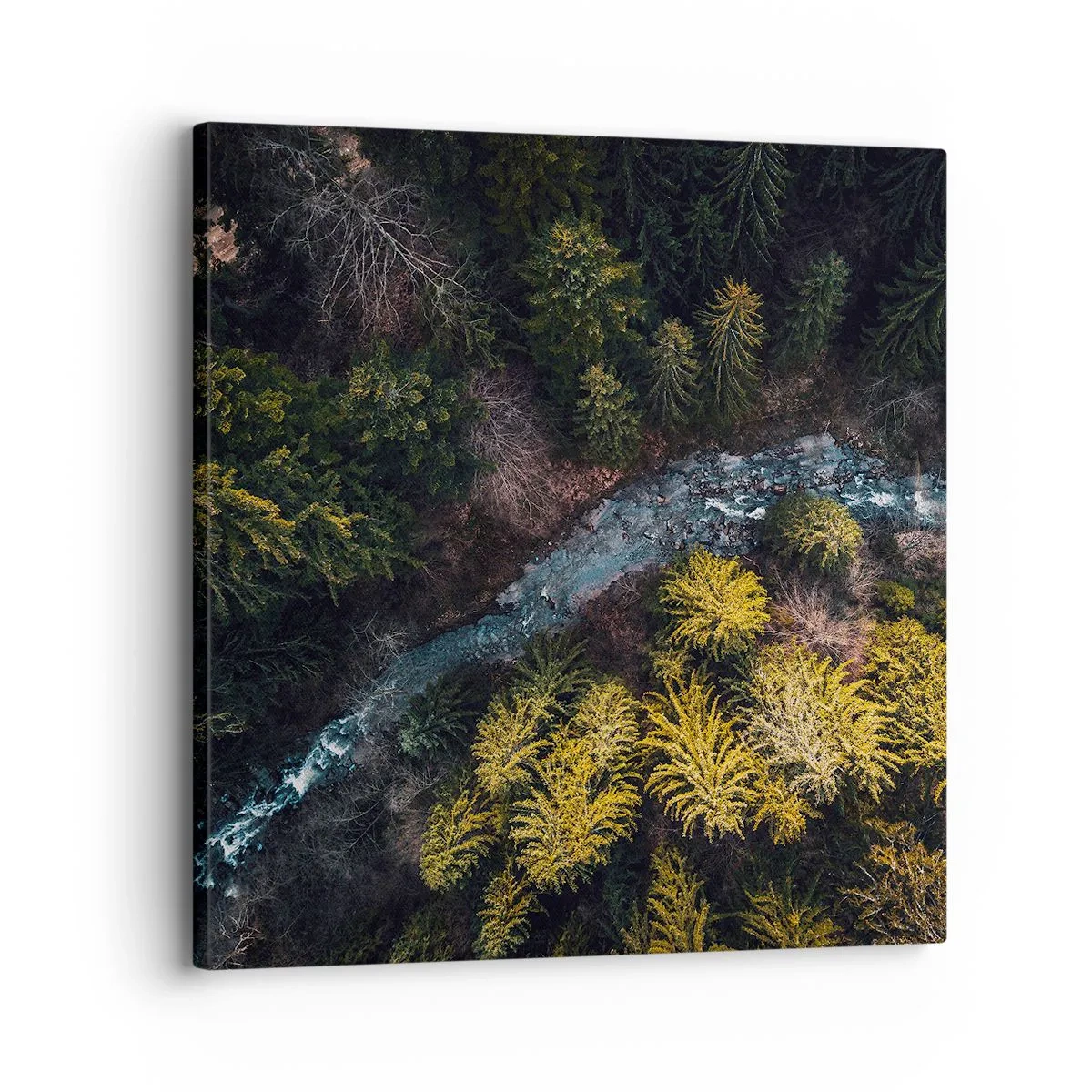 Quadro em tela - Rápido e cada vez mais rápido - 30x30 cm