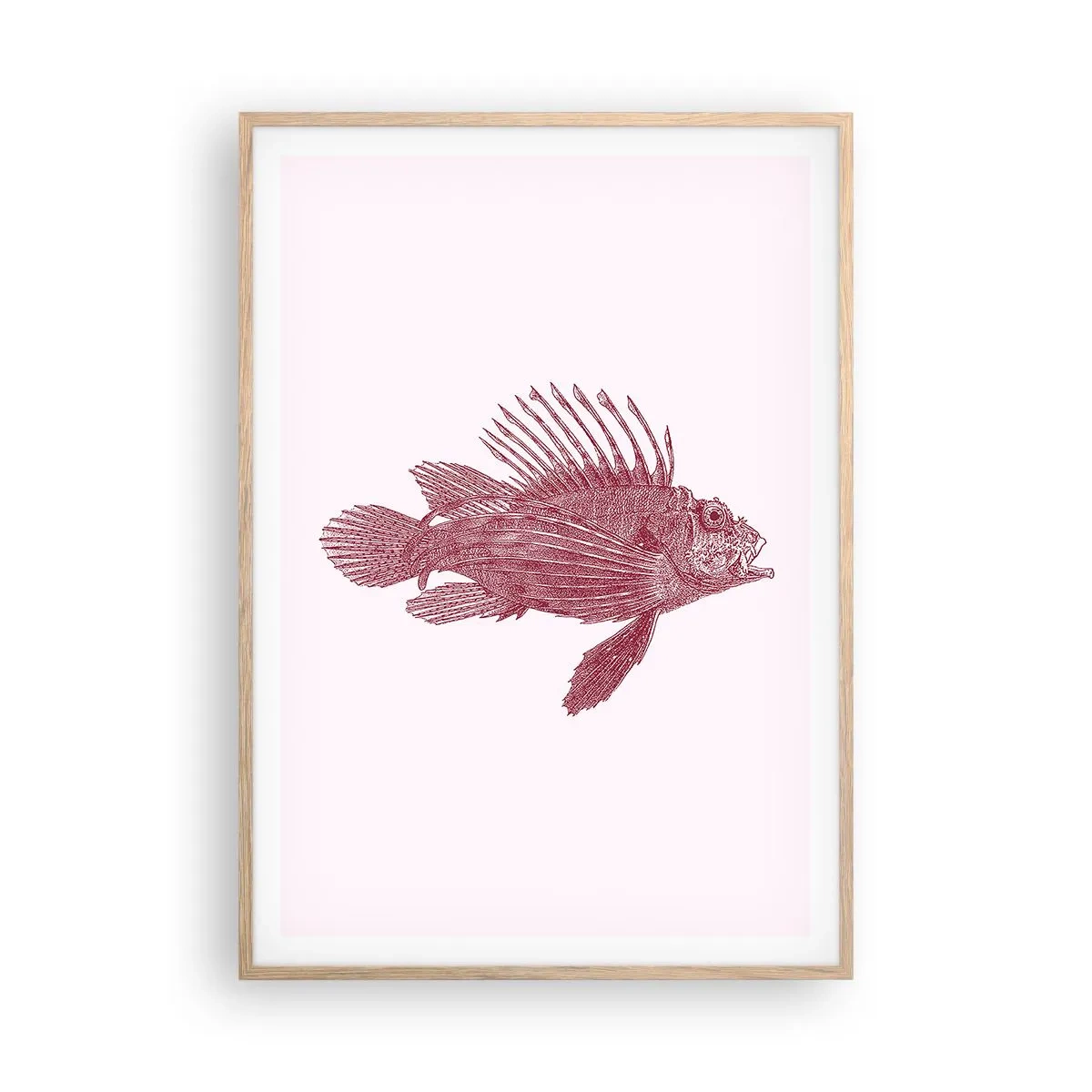 Pôster com moldura de carvalho claro - Um habitante de águas exóticas - 70x100 cm