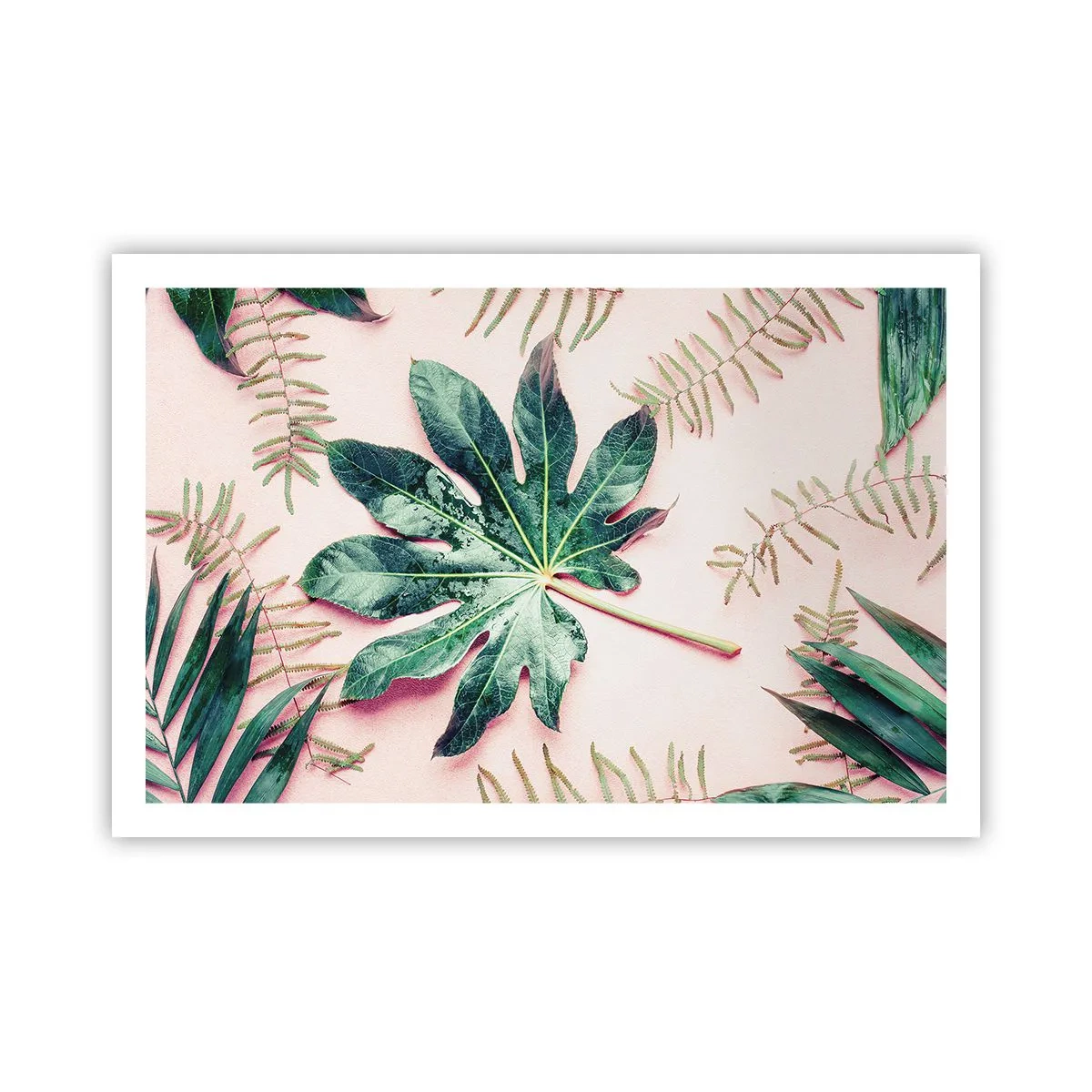 Pôster - Estudo do verde em um fundo rosa - 91x61 cm