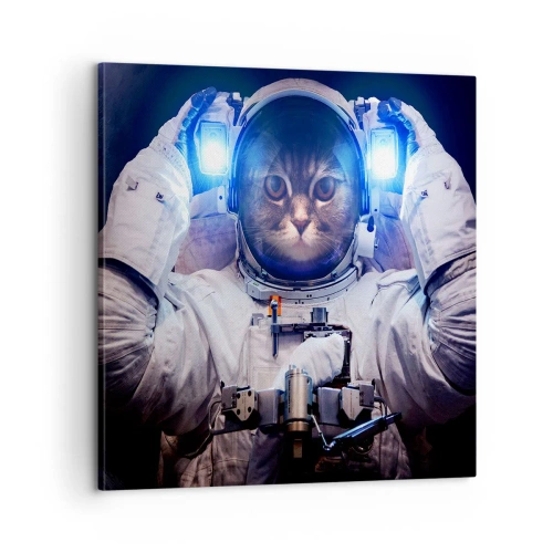 Quadro em tela - Houston, temos um problema - 60x60 cm