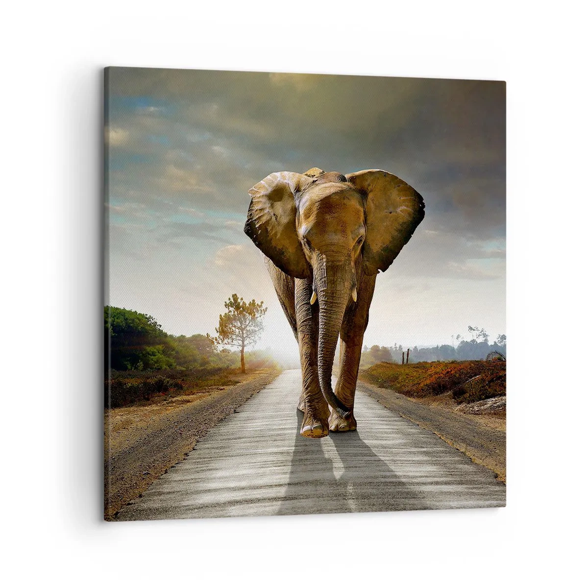 Quadro em tela - Não faz parte da composição da porcela - 50x50 cm