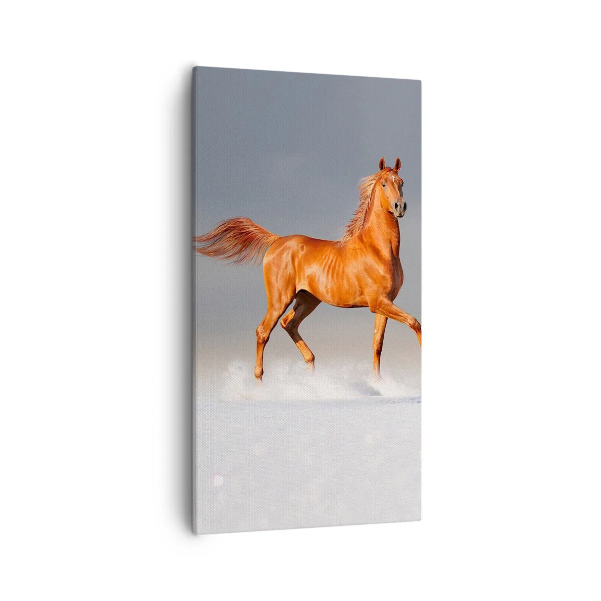 Quadro em tela - Graça Dançante - 55x100 cm