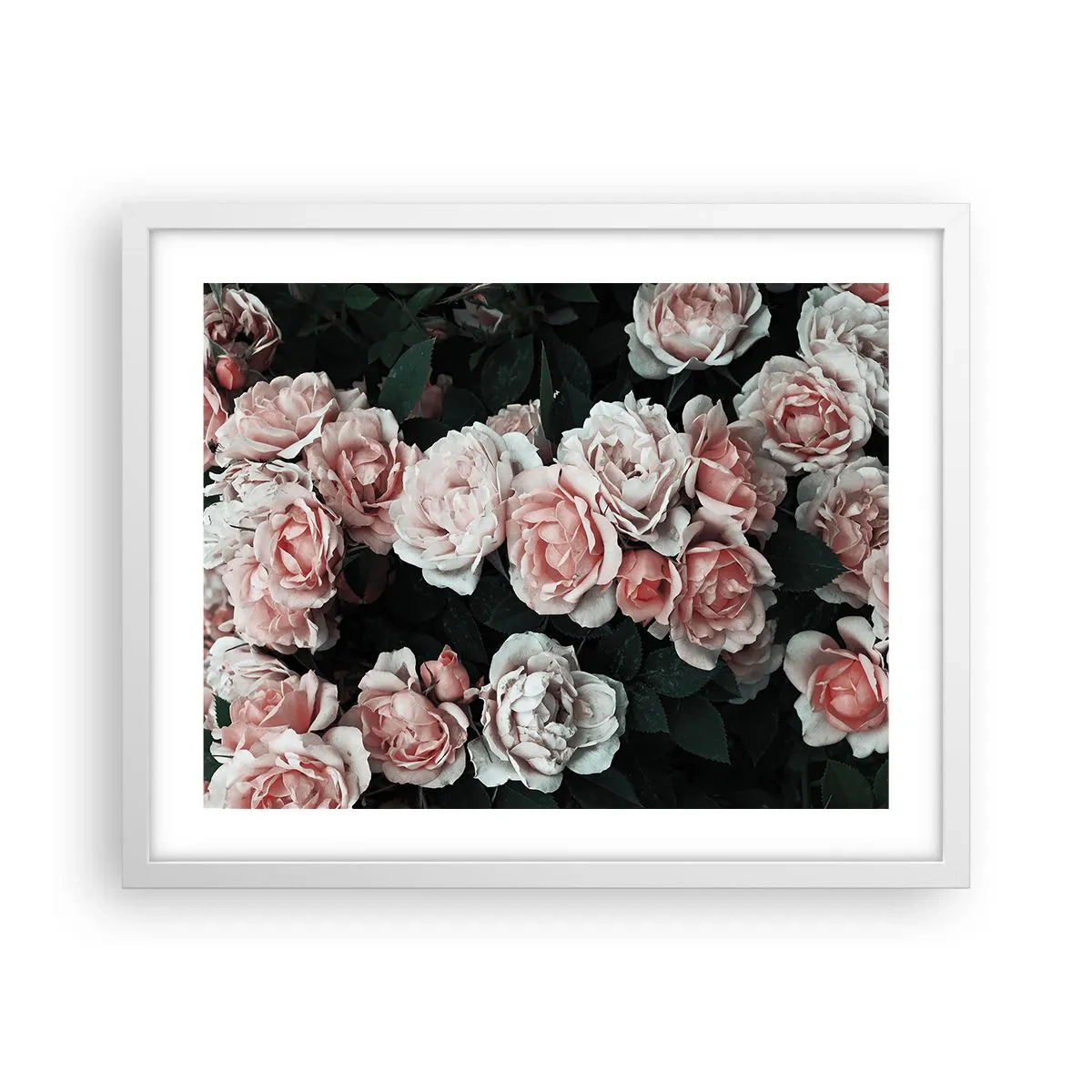 Pôster em moldura branca - Conjuntos de rosas - 50x40 cm