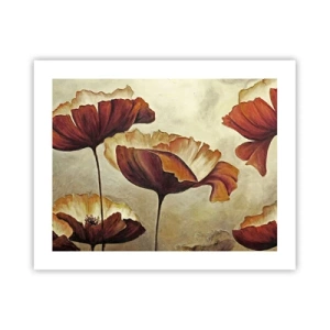 Pôster - Prados e pradarias - 50x40 cm