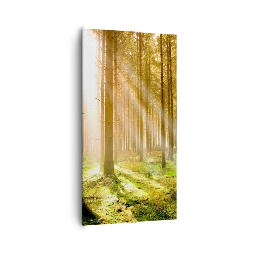 Quadro em tela - Os elfos estão prestes a aparecer - 65x120 cm