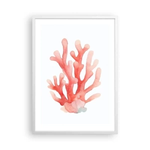 Pôster em moldura branca - Coral de cor coral - 50x70 cm
