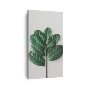 Quadro em tela - Desenho da própria natureza - 45x80 cm