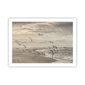 Pôster - O som do mar, o canto dos pássaros - 70x50 cm