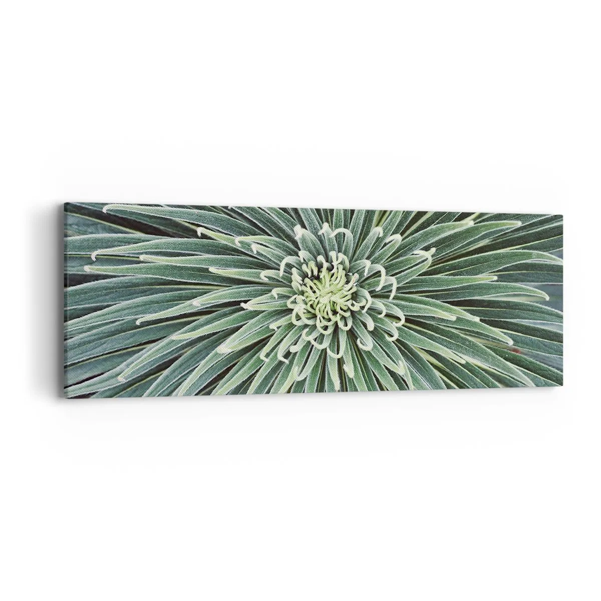 Quadro em tela - Nasce uma estrela - 90x30 cm