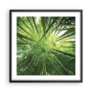 Pôster com moldura preta - Em um bosque de bambu - 50x50 cm
