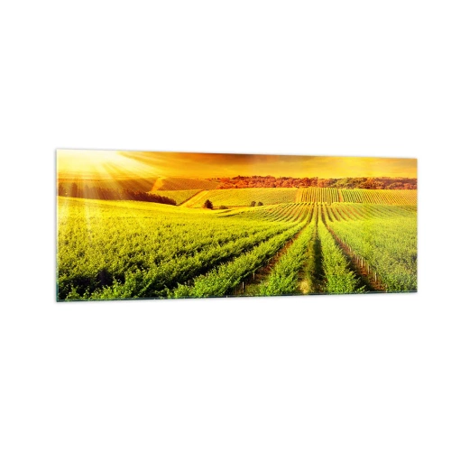 Quadro em vidro - Sob o sol australiano - 140x50 cm