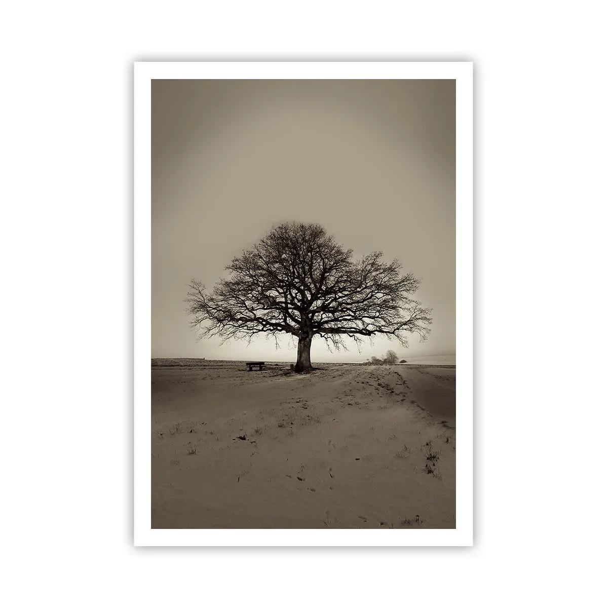 Pôster - Daqui para a eternidade - 70x100 cm