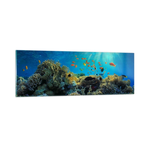 Quadro em vidro - Tesouros subaquáticos - 90x30 cm