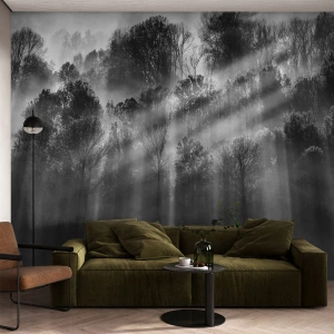 Papel de Parede Premium Canvas - Em correntes de luz - Paisagem, Floresta, Preto e branco - 500x350 cm