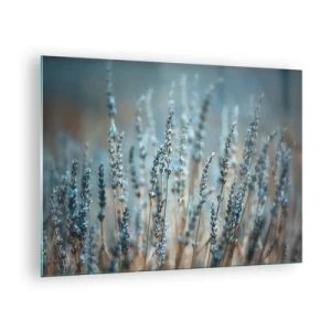 Quadro em vidro - Um campo de lavanda em luz suave e fresca - 70x50cm - Prado perfumado - Decoração de parede moderna para a sala de estar e quarto ARTTOR