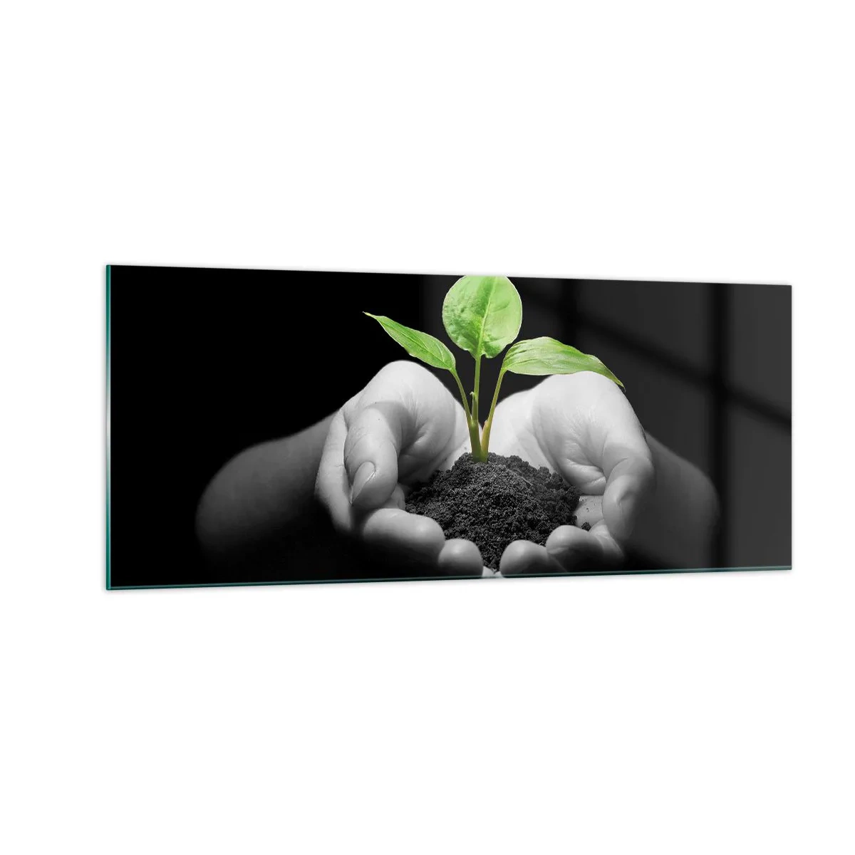Quadro em vidro - Eu amo a natureza, eu a protejo - 100x40 cm
