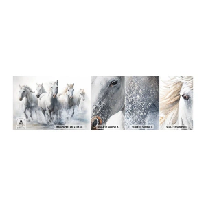 Amostra de Papel de Parede Standard Eco - Magia branca - Cavalos, Animais, Aquarela - 100x30 cm