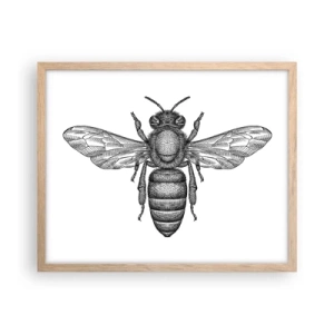 Pôster com moldura de carvalho claro - Retrato de um inseto - 50x40 cm