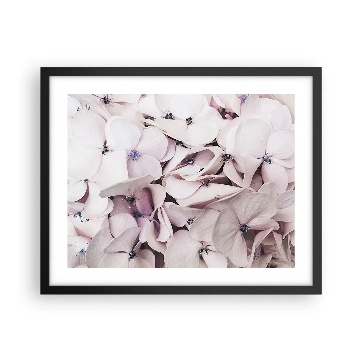 Pôster com moldura preta - Em uma inundação de flores - 50x40 cm