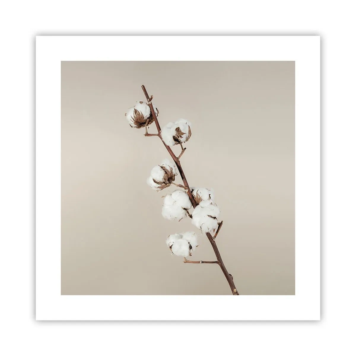 Pôster - Na fonte da suavidade - 40x40 cm