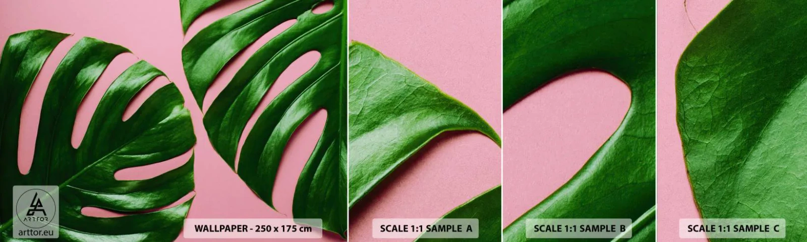 Amostra de papel de parede autocolante Deluxe Sticker - Encontro verde - Monstro, Folha verde, Planta exótica - 100x30 cm