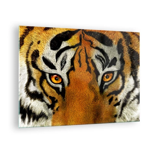 Quadro em vidro - Close-up do olhar intenso do tigre - 70x50cm - Perigoso e bonito - Decoração de parede moderna para a sala de estar e quarto ARTTOR