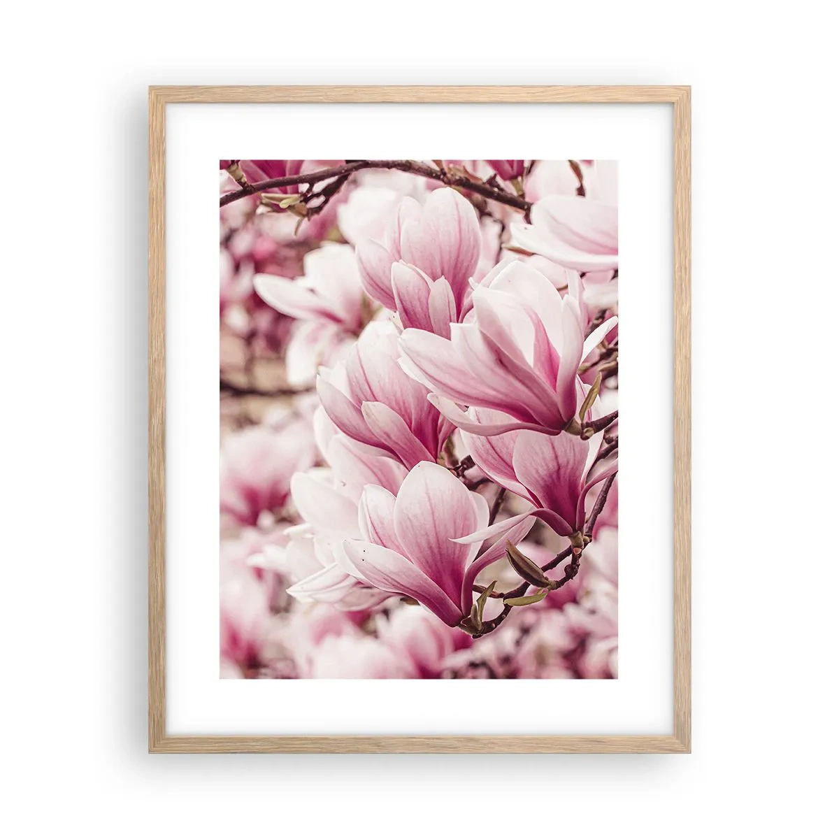 Pôster com moldura de carvalho claro - A primavera é rosa - 40x50 cm