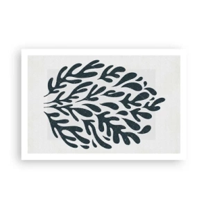 Pôster - Formas da natureza - 91x61 cm