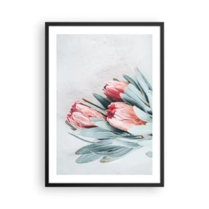 Pôster com moldura preta - Uma composição sutil de flores de protea sobre um fundo claro - 50x70cm - Envergonhadas da sua própria beleza - Decoração de parede moderna para a sala de estar e quarto ARTTOR