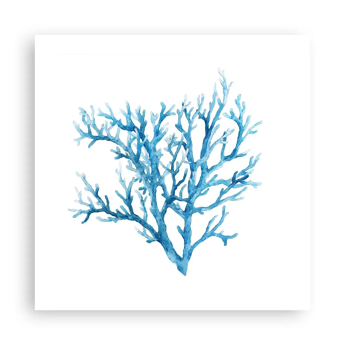 Pôster - Filigrana náutica - 50x50 cm