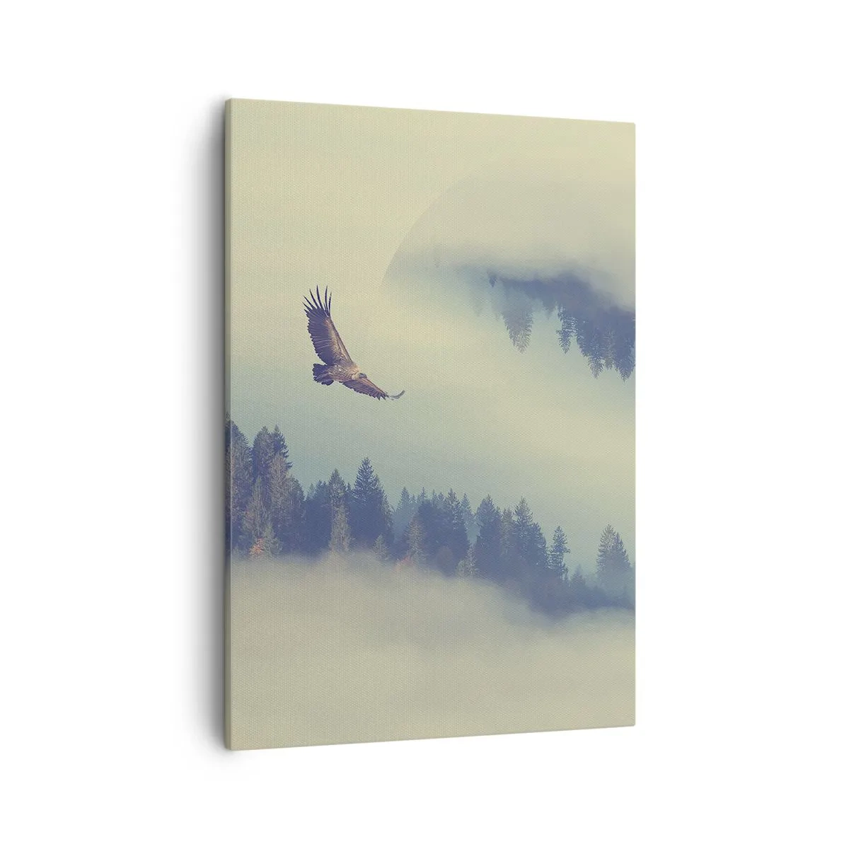Quadro em tela - Eu vi a sombra de uma águia - 50x70 cm