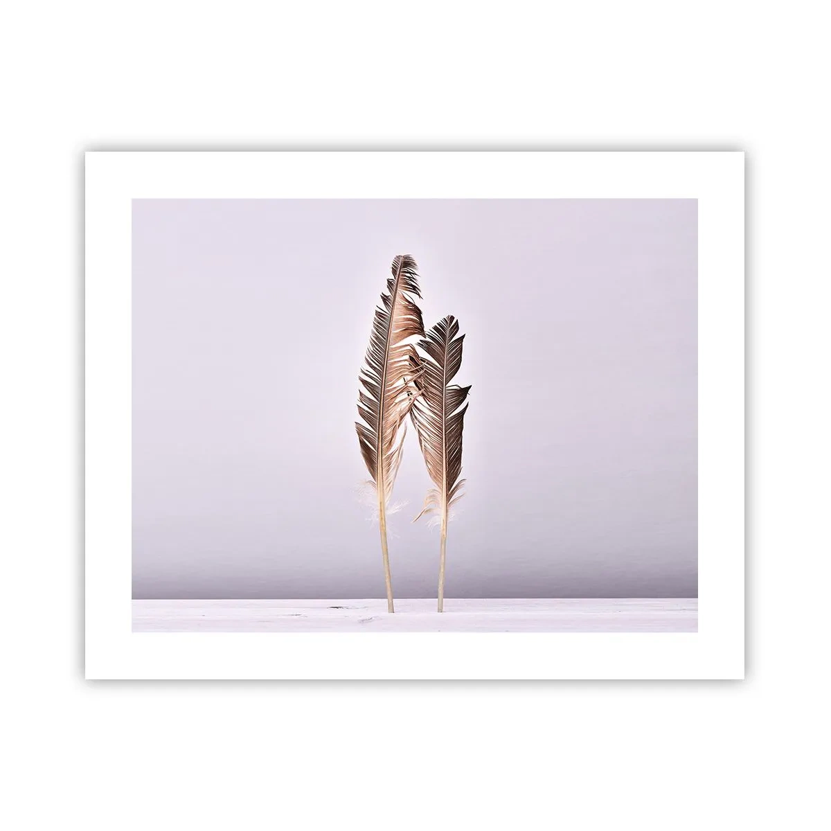 Pôster - Contra o nada - 50x40 cm