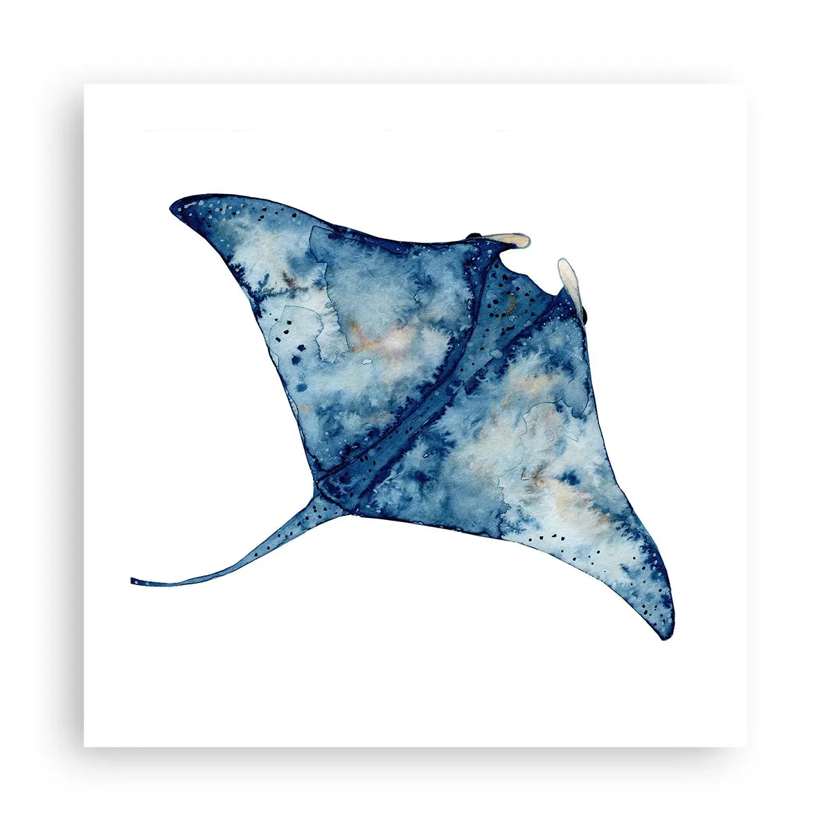 Pôster - A vida em azul - 50x50 cm