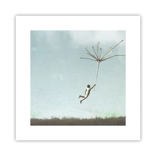 Pôster - Papagaios, balões, vento - 30x30 cm