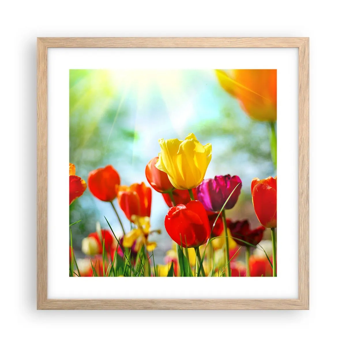 Pôster com moldura de carvalho claro - Todas as cores do sol - 40x40 cm