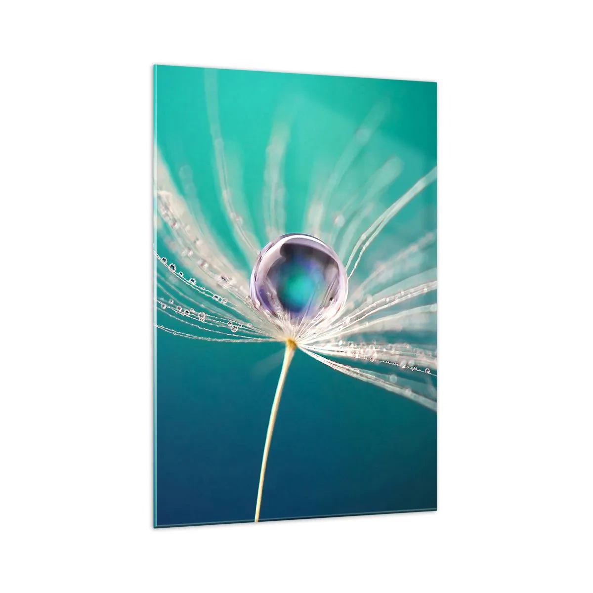 Quadro em vidro - Momento místico - 70x100 cm