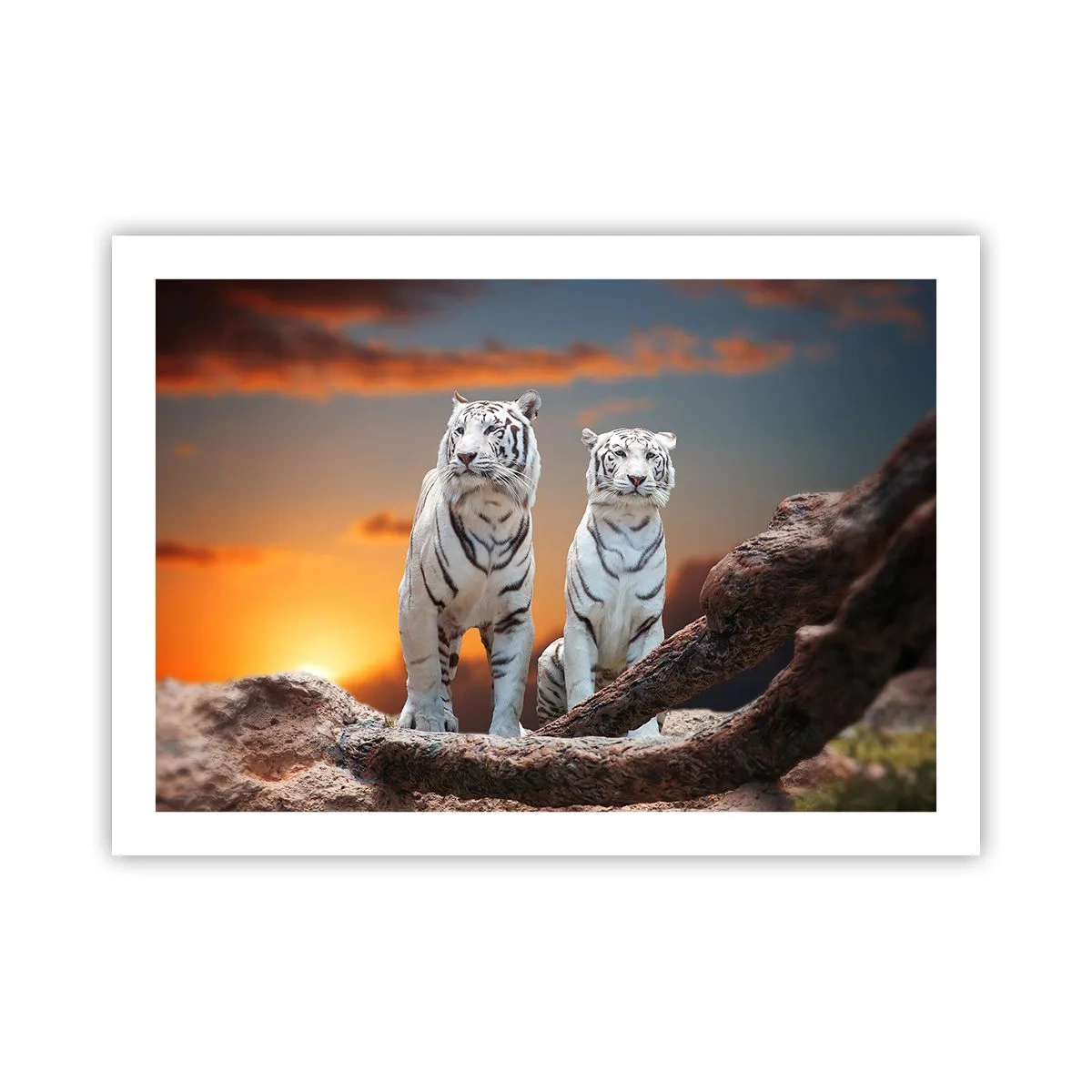 Pôster - Tal como em Nárnia - 70x50 cm