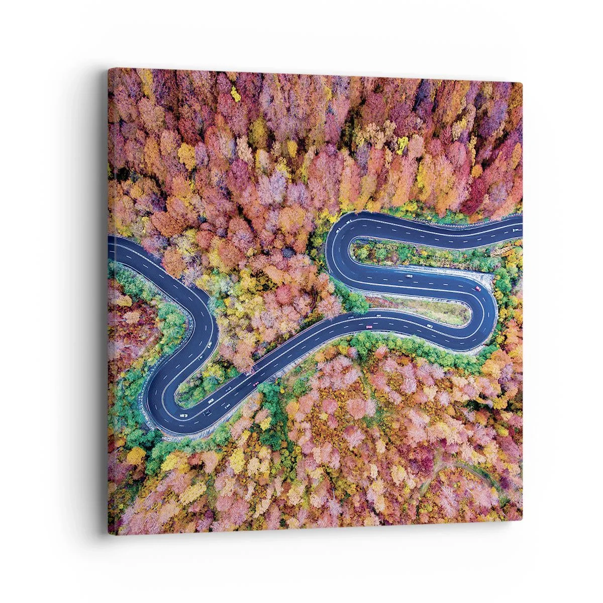 Quadro em tela - Estrada sinuosa pela floresta - 40x40 cm