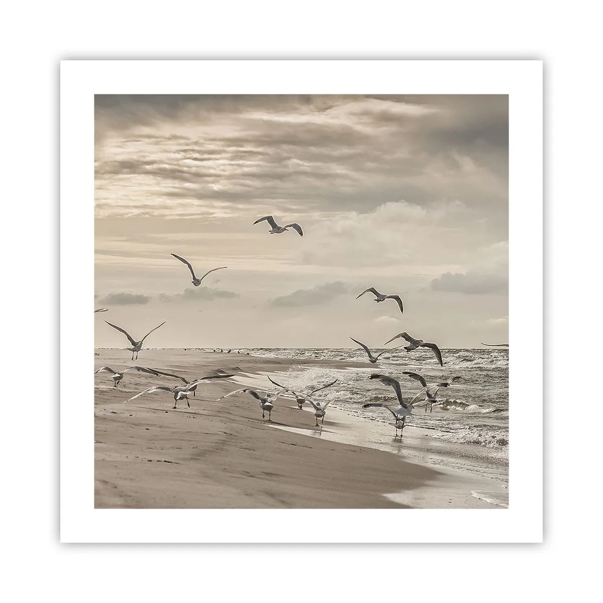 Pôster - O som do mar, o canto dos pássaros - 50x50 cm