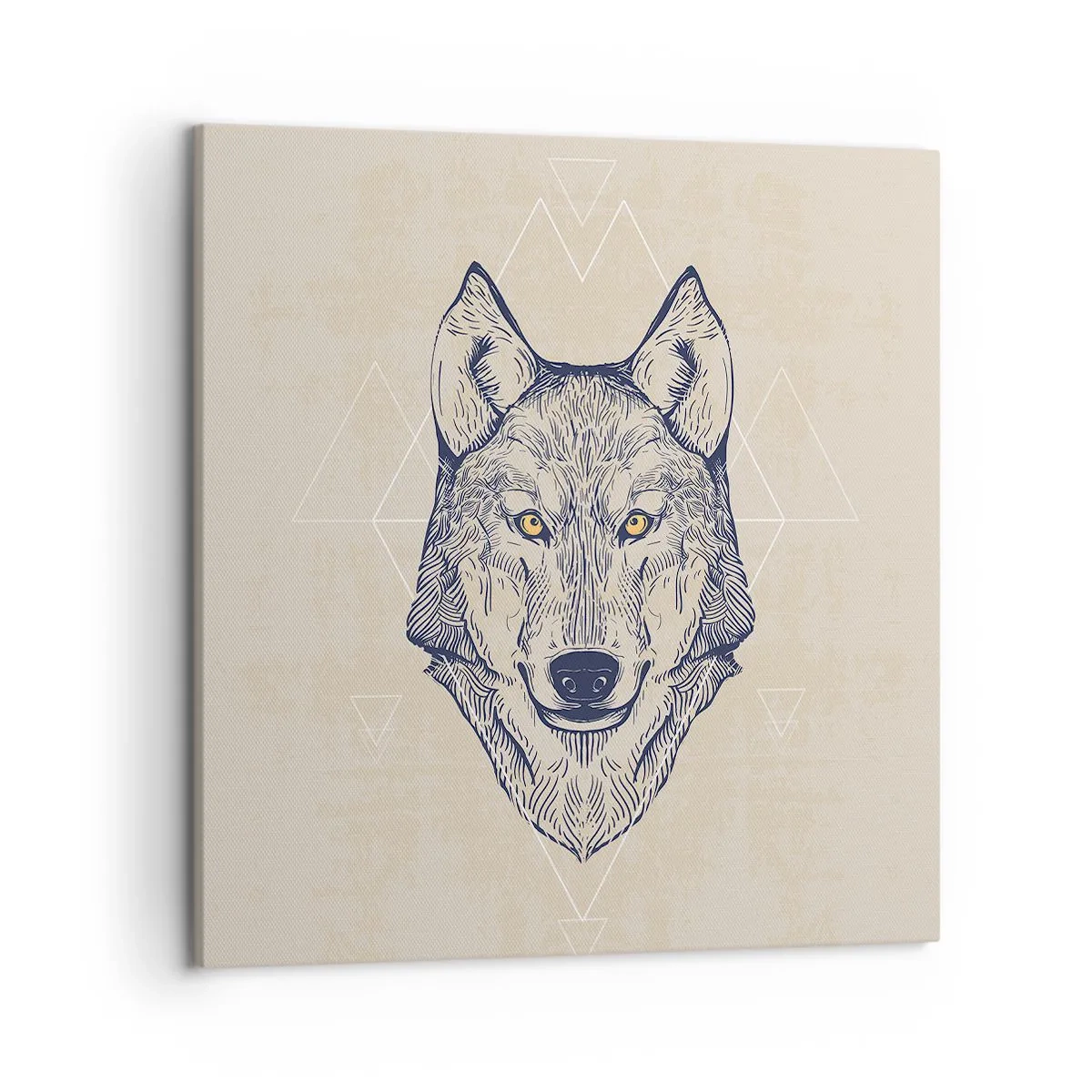 Quadro em tela - Alfa com um olhar penetrante - 50x50 cm