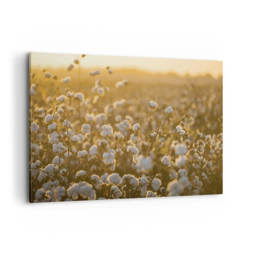 Quadro em tela - Campo macio - 100x70 cm