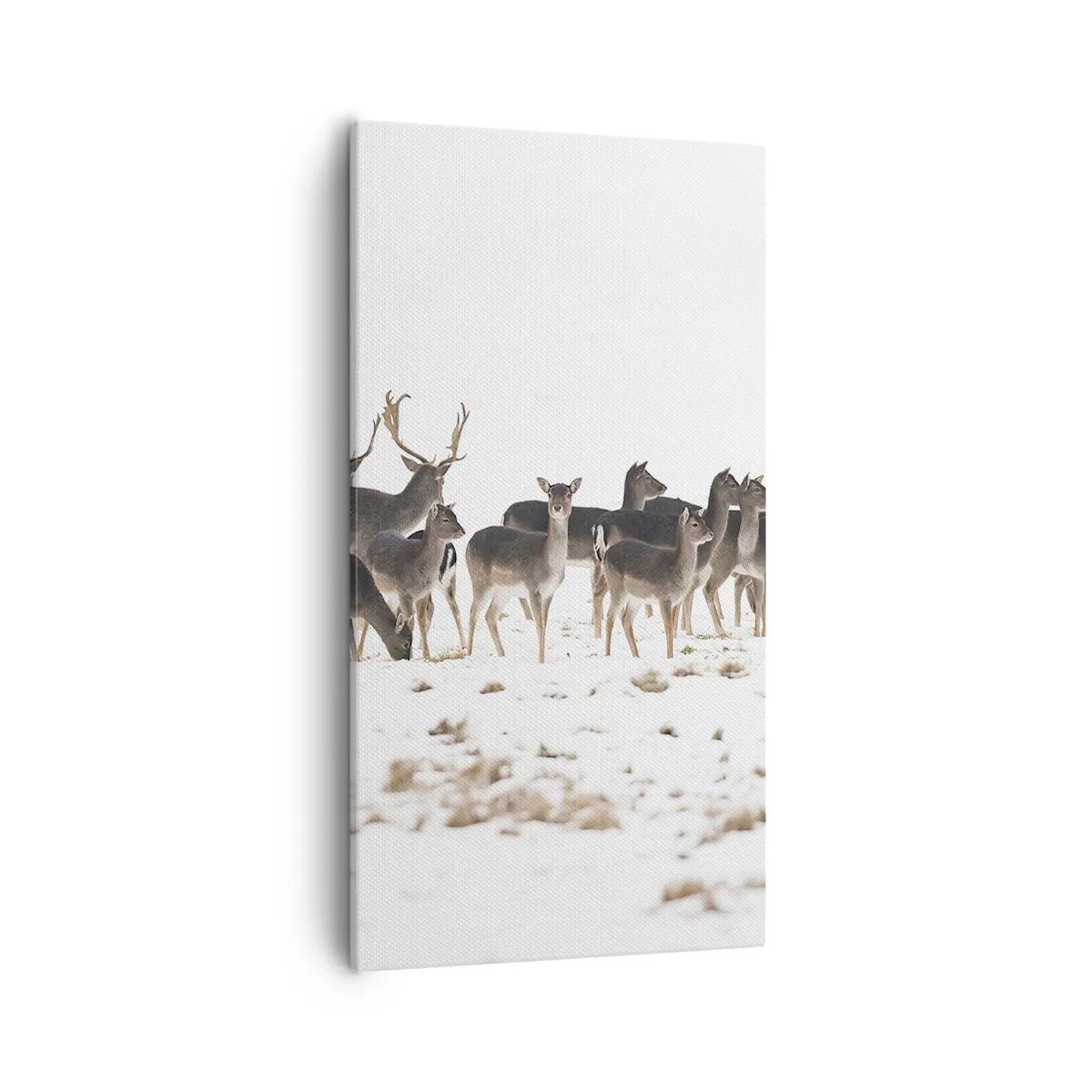 Quadro em tela - O Natal se aproxima? - 55x100 cm