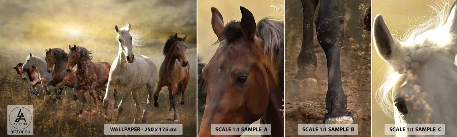 Amostra de Papel de Parede Standard Eco - Viva a liberdade! - Animais, Cavalo, Galope - 100x30 cm