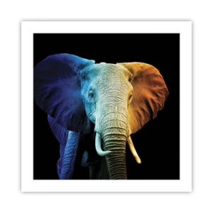 Pôster - Excêntrico, não esquisito - 50x50 cm