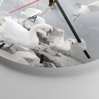 Mostrador com traços