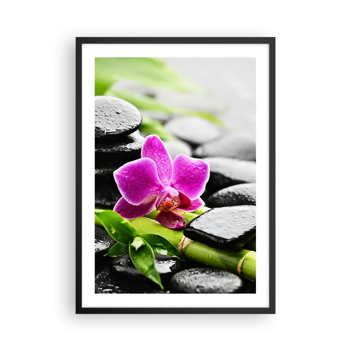 Pôster com moldura preta - Orquídea roxa em pedras molhadas e folhas verdes - 50x70cm - Calmo equilíbrio - Decoração de parede moderna para a sala de estar e quarto ARTTOR