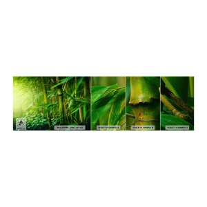 Amostra de papel de parede Premium Sand - Conheça a vegetação  - Plantar, Bambu, Selva - 100x30 cm
