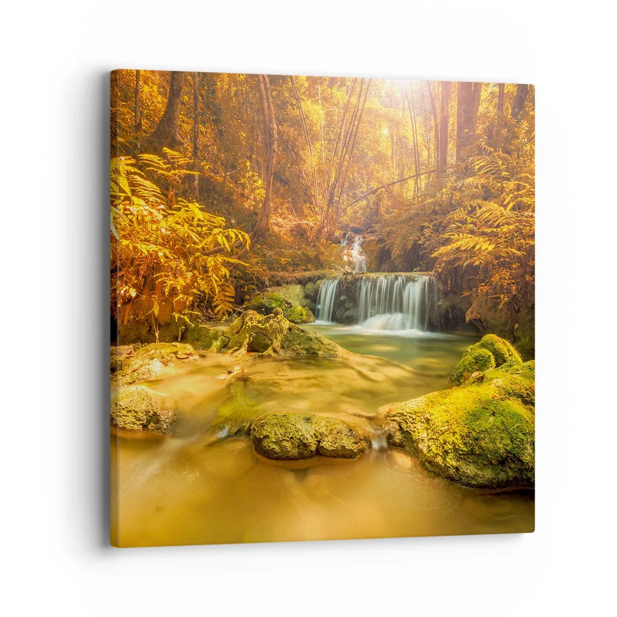 Quadro em tela - Cascata na floresta em ouro - 40x40 cm