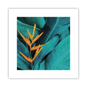 Pôster - Flor do Éden - 30x30 cm