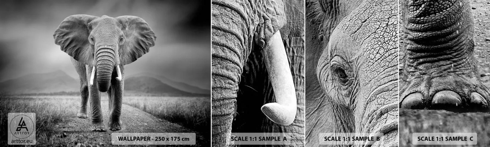 Amostra de Papel de Parede Standard Eco - O anfitrião dá as boas-vindas - Elefante, Animais, Paisagem - 100x30 cm